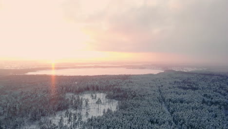 AERIAL-CLOSE-UP-Flying-over-frozen-treetops-in-snowy-mixed-forest-at-misty-sunrise.-Golden-sun-rising-behind-icy-mixed-forest-wrapped-in-morning-fog-and-snow-in-cold-winter.-Stunning-winter-landscape